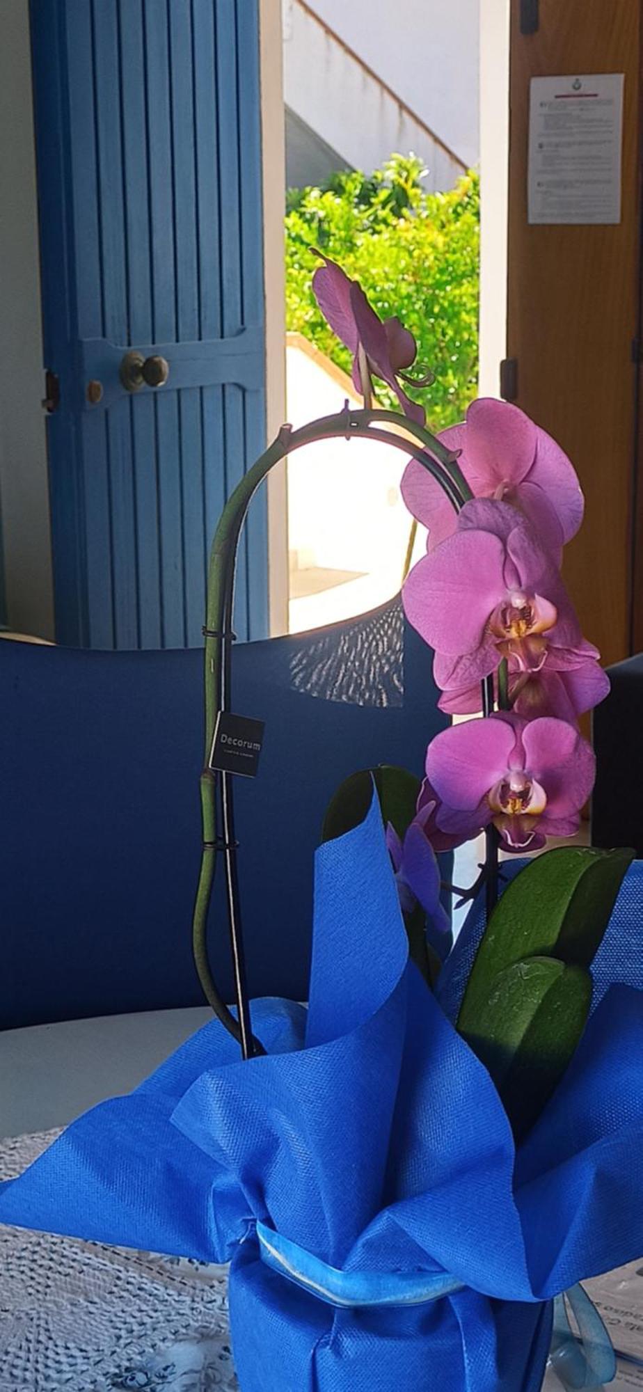 Haiku Home Кала Гононе Екстериор снимка